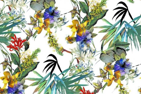 多彩植物花卉树叶图片