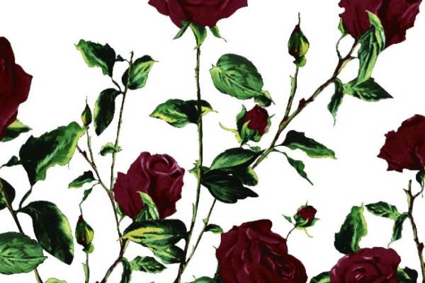 水彩玫瑰花服装图案数码印花