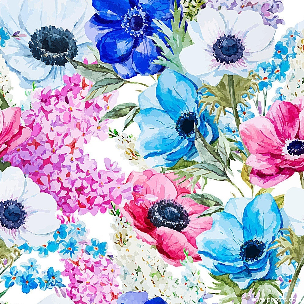 牡丹花矢量图数码印花植物花朵图片