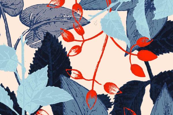 植物叶子矢量图热转印花型文件