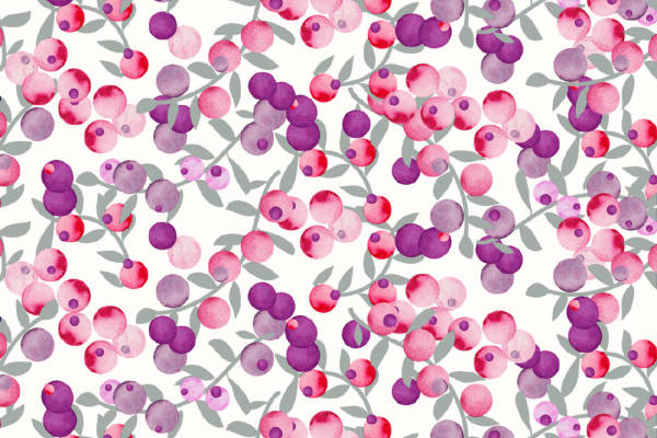 蓝莓果实植物矢量图