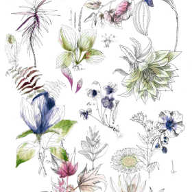 花卉矢量图源文件免扣