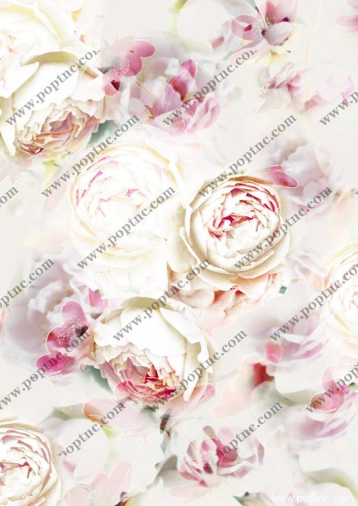 含羞待放的牡丹花矢量图