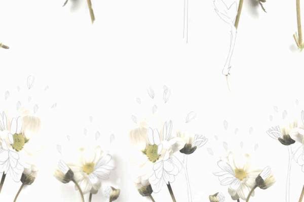 白菊数码印花矢量图