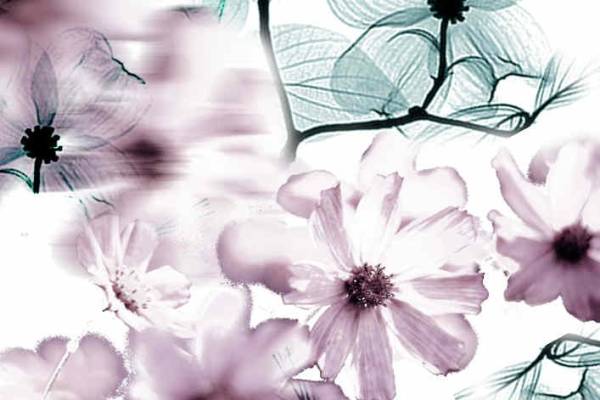 数码印花矢量图热转印花型源文件