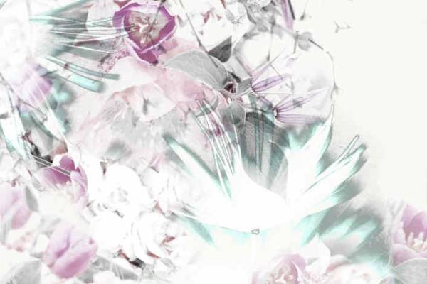 植物花卉矢量图数码印花花型源文件