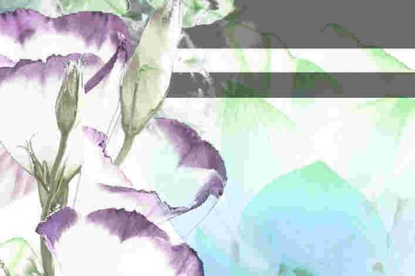 植物数码印花矢量图