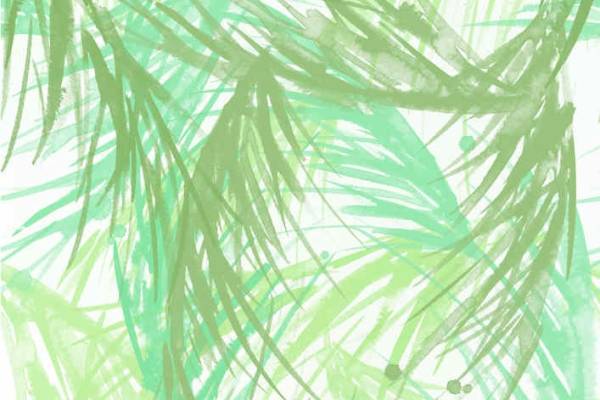 水彩风叶子线矢量图