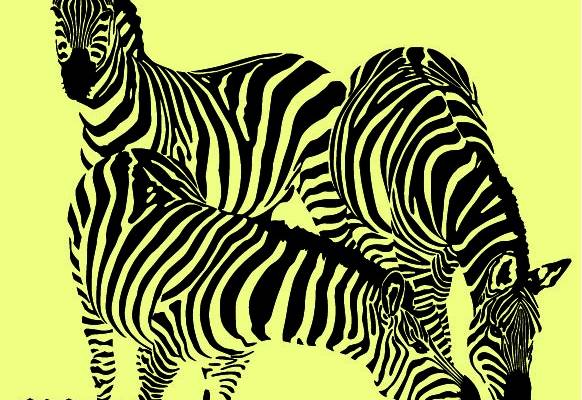 斑马图 裁片数码印花