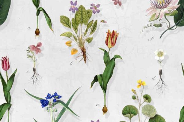 植物花卉源文件图案