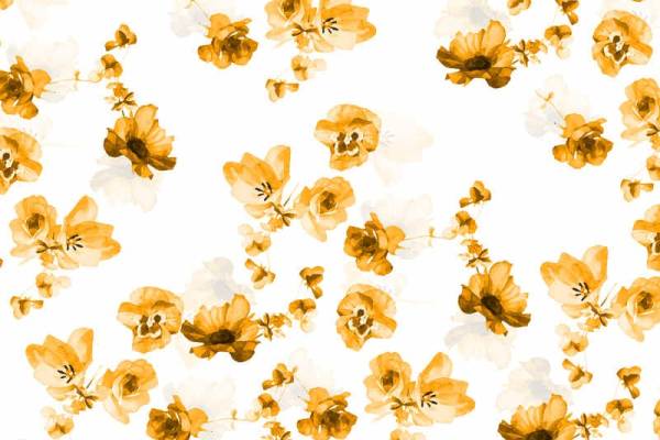 黄色植物花卉矢量图