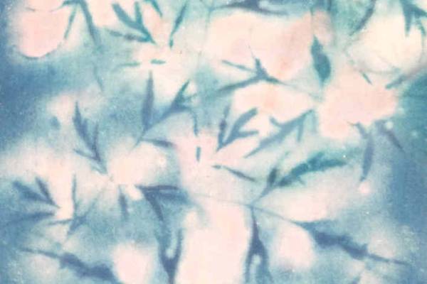 数码印花矢量图热转印花型文件