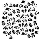 黑白植物果实拼接矢量图