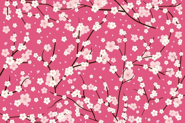 粉红色底白色桃花矢量图