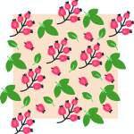 植物叶子果实矢量图