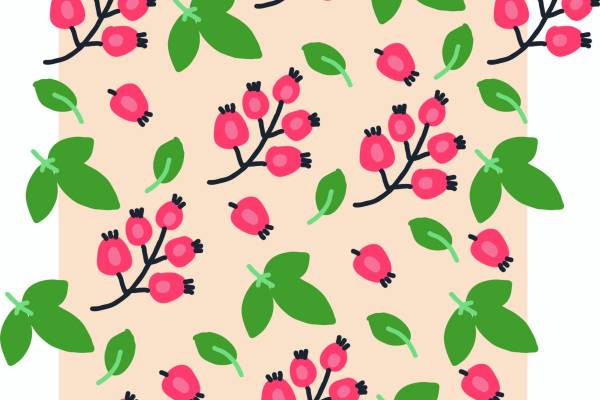 植物叶子果实矢量图