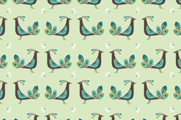 卡通孔雀矢量图