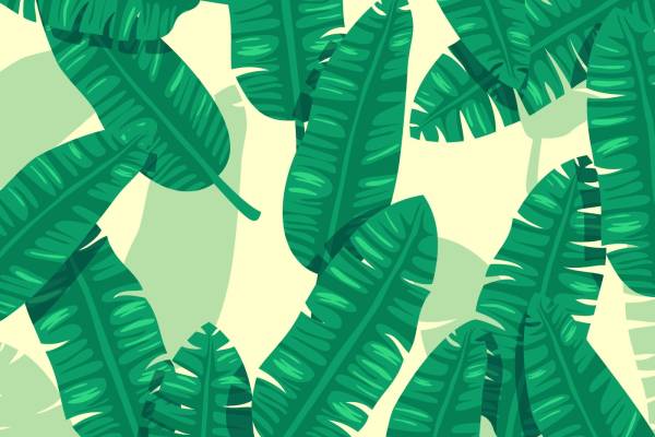 芭蕉叶拼接矢量图