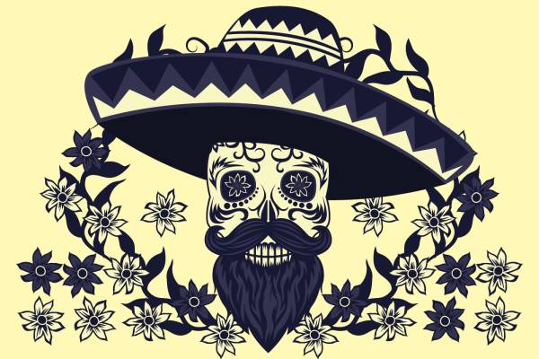 海盗骷髅头裁片印花