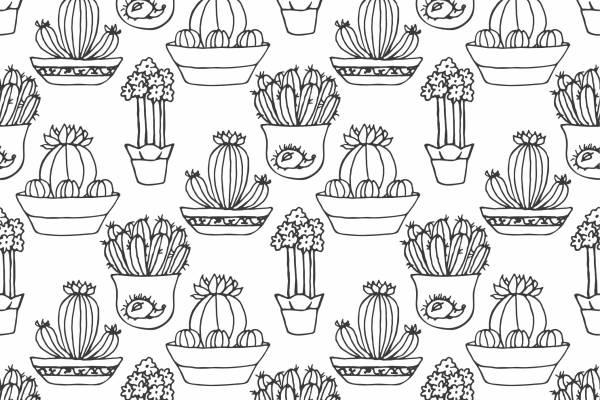 卡通盆栽仙人掌拼接矢量图