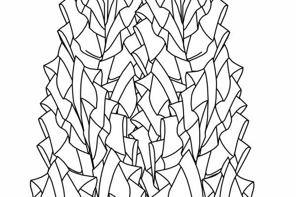 女士婚纱设计矢量图