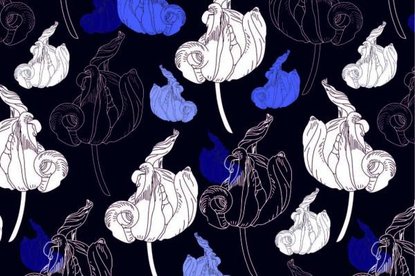 含苞待放植物花朵矢量图