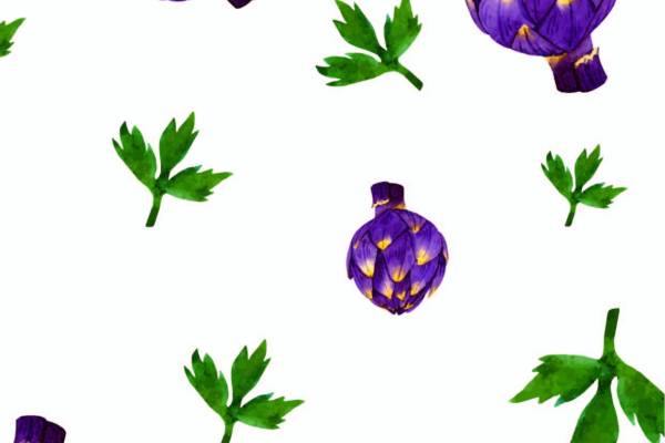 植物花卉 花草组合矢量图