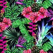 鲜艳植物花卉菠萝 花草组合印花矢量图