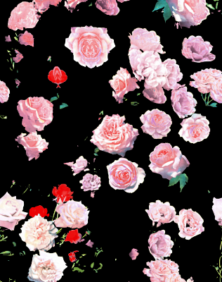 玫瑰花印花矢量图纺织面料印花花型金昌分色稿源文件