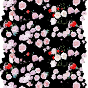 新款玫瑰花印花矢量图纺织面料印花花型金昌分色稿源文件