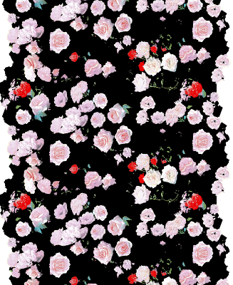 新款玫瑰花印花矢量图纺织面料印花花型金昌分色稿源文件