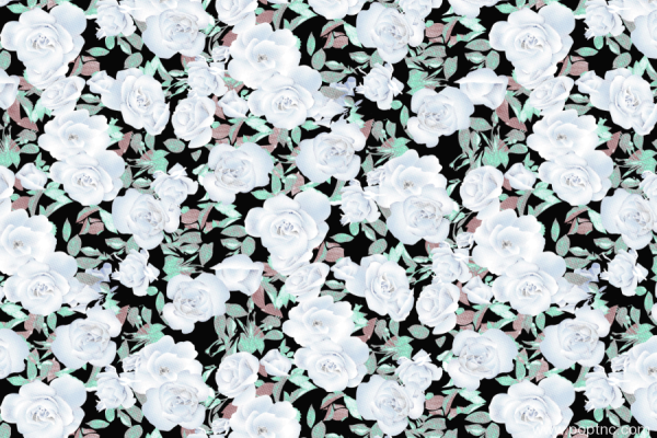 纺织面料印花图植物花卉矢量图牡丹花型金昌格式分色稿A2767-2