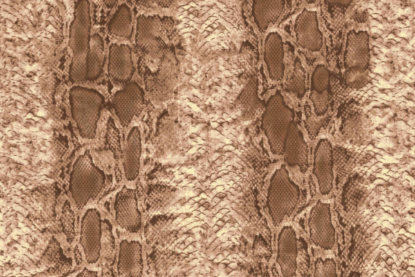 服装纺织面料印花花型蟒蛇纹花纹金昌格式花纹A2775-2