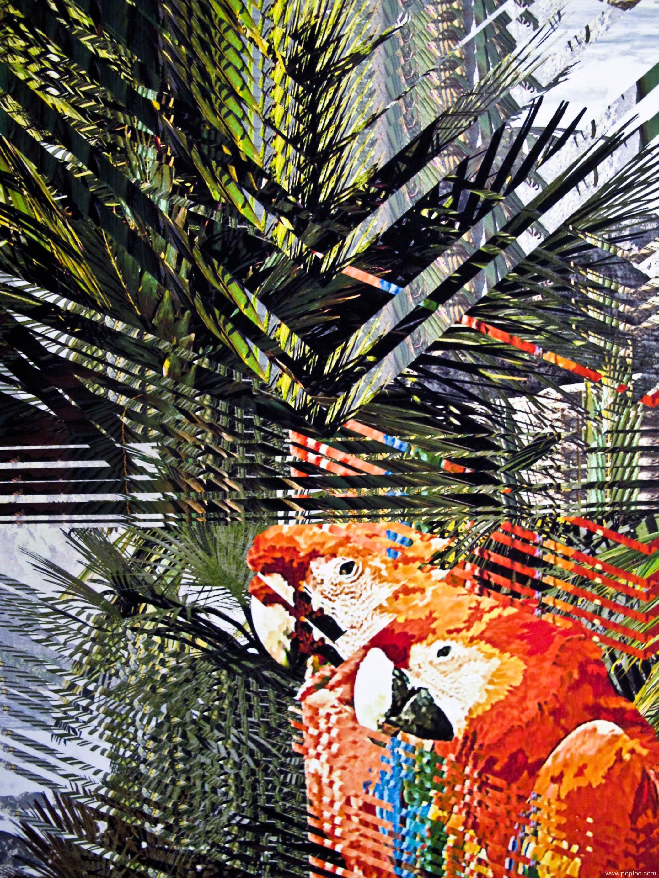 2020年春夏纽约Indigo展会印花图案流行时尚趋势设计素材图集二