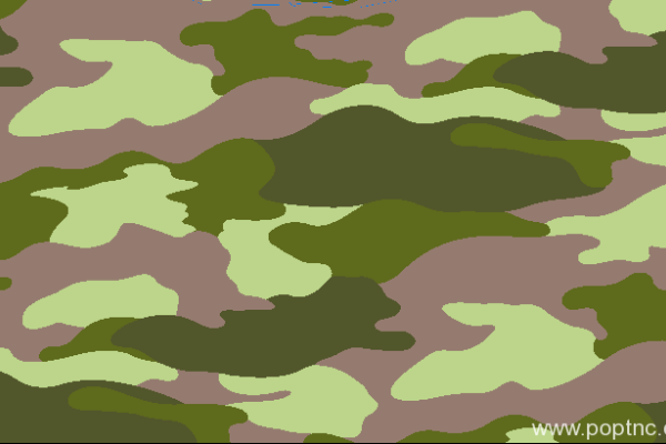 纺织面料迷彩花型金昌格式矢量图