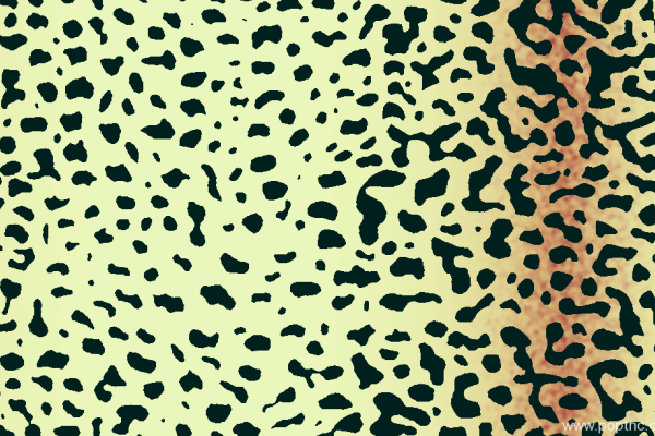 豹纹印花花型矢量图水印数码印花金昌花型