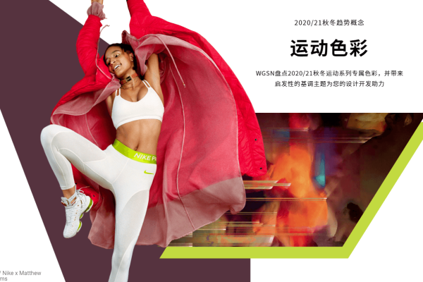 2020、21年秋冬运动色彩