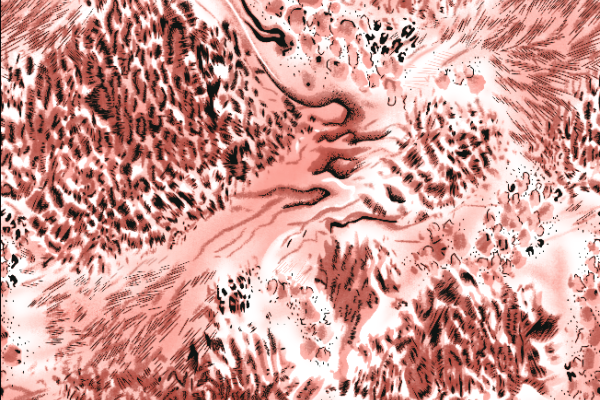 粉色豹纹印花矢量图纺织水印数码印花金昌花型