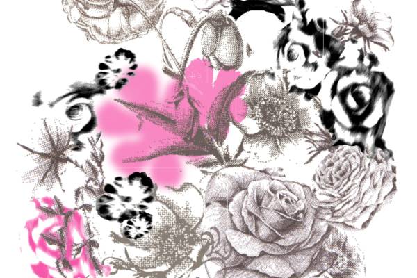 植物花卉牡丹花烫图裁片印花矢量图