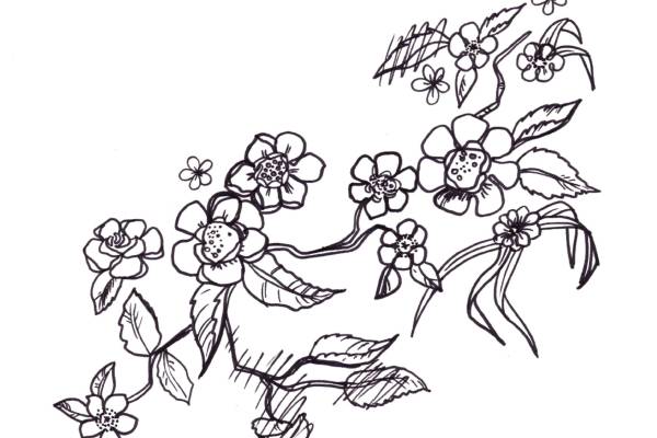 植物花卉裁片烫图印花矢量图