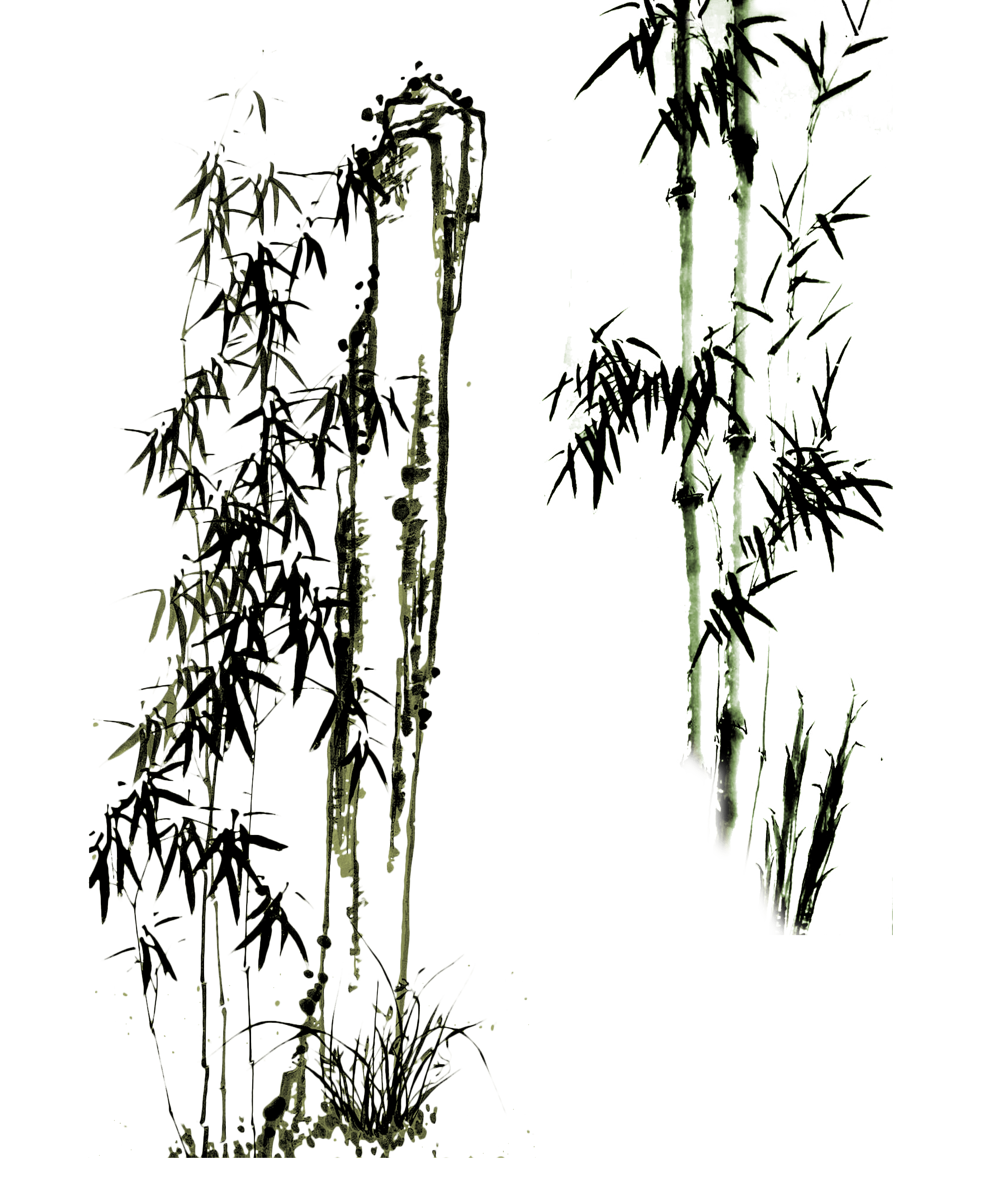 Mlito | 黑白线描手绘竹子