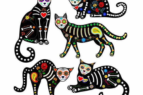 黑色大花猫腰果花朵心形矢量图裁片烫图矢量图