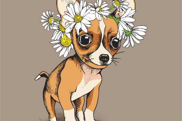 小狗图案植物花卉菊花矢量图裁片烫图印花花型
