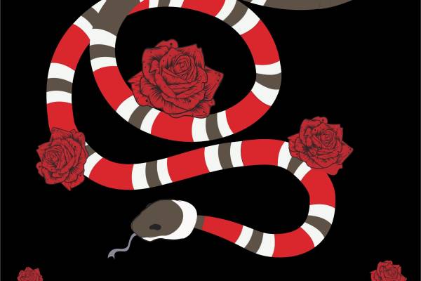 银环蛇字母牡丹花矢量图裁片烫图印花花型