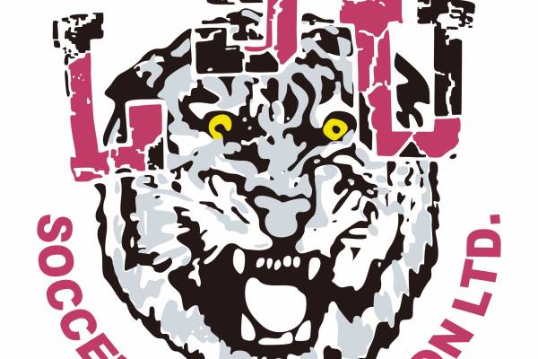 老虎字母印花矢量图服装裁片烫图印花花型