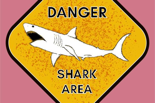 鲨鱼字母拼接矢量图服装裁片烫图印花花型