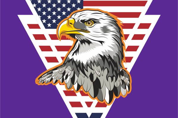 星旗白头鹰字母矢量图服装裁片烫图印花花型