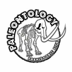 几何猛犸象骷髅字母矢量图服装裁片T恤烫图印花花型