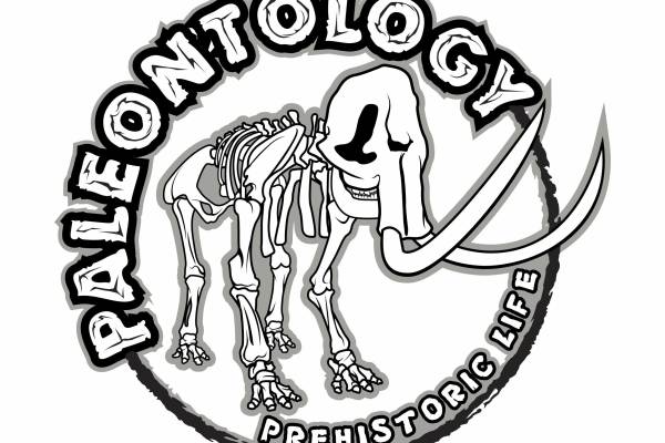 几何猛犸象骷髅字母矢量图服装裁片T恤烫图印花花型