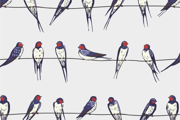 动物鸟类燕子矢量图服装面料数码印花花型